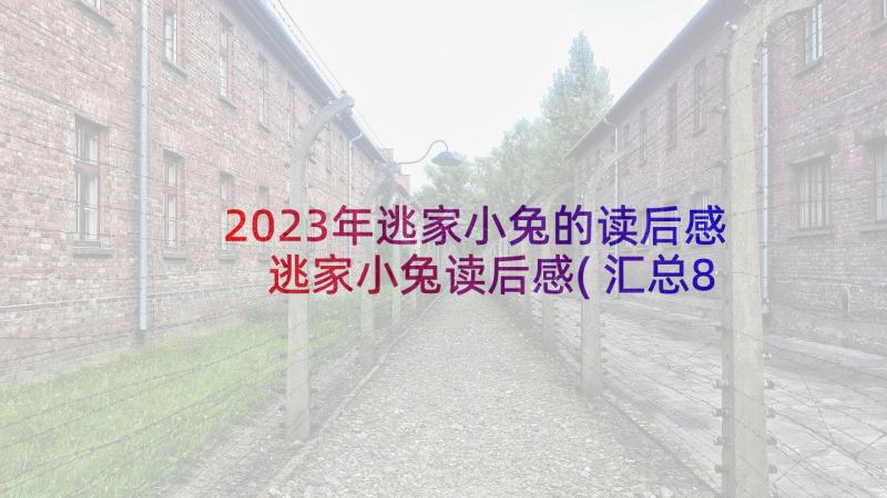 2023年逃家小兔的读后感 逃家小兔读后感(汇总8篇)