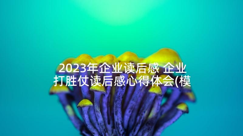 2023年企业读后感 企业打胜仗读后感心得体会(模板9篇)