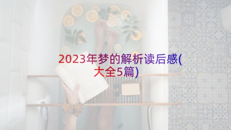 2023年梦的解析读后感(大全5篇)