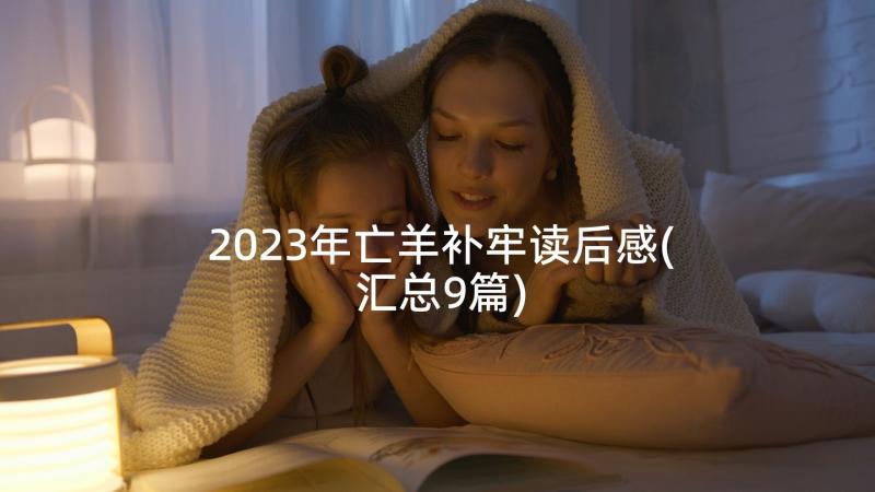 2023年亡羊补牢读后感(汇总9篇)