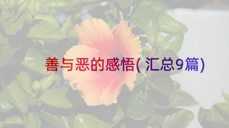 善与恶的感悟(汇总9篇)