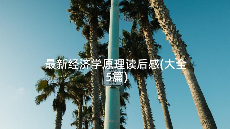 最新经济学原理读后感(大全5篇)