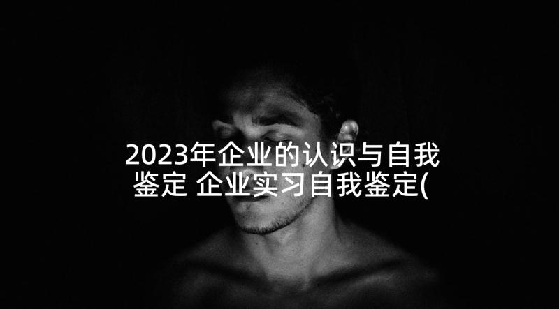 2023年企业的认识与自我鉴定 企业实习自我鉴定(通用5篇)