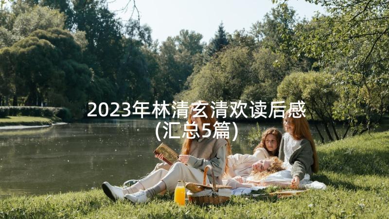 2023年林清玄清欢读后感(汇总5篇)