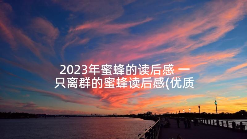 2023年蜜蜂的读后感 一只离群的蜜蜂读后感(优质9篇)