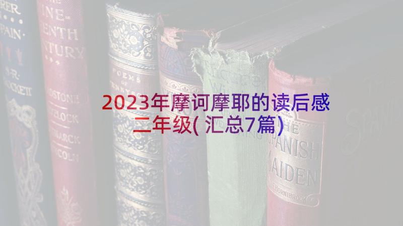 2023年摩诃摩耶的读后感二年级(汇总7篇)