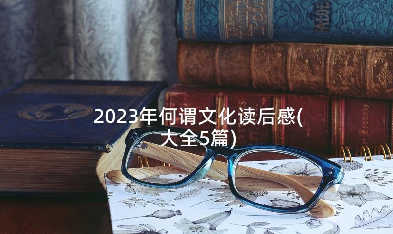 2023年何谓文化读后感(大全5篇)