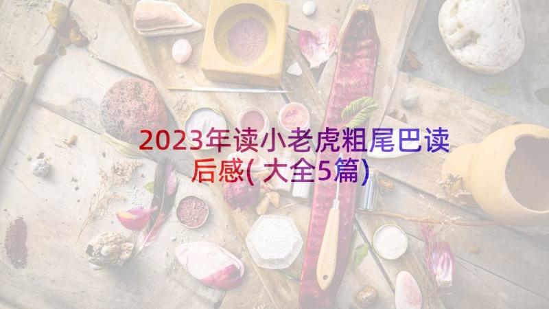 2023年读小老虎粗尾巴读后感(大全5篇)