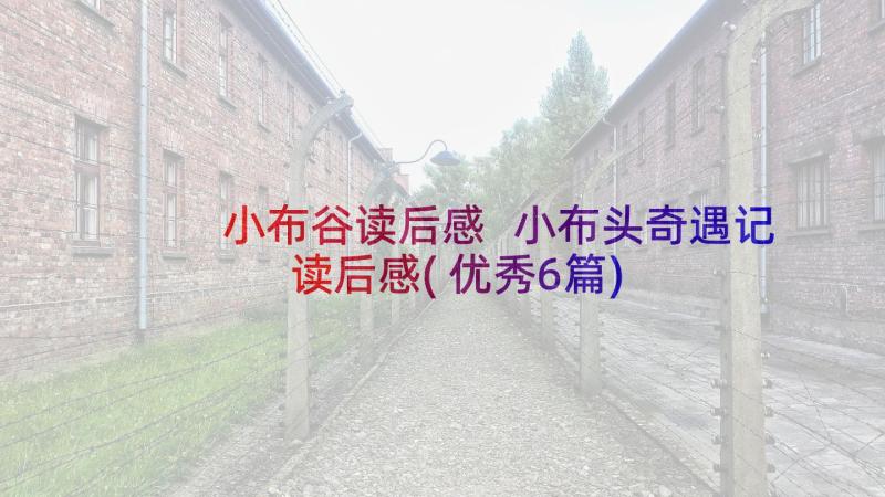 小布谷读后感 小布头奇遇记读后感(优秀6篇)