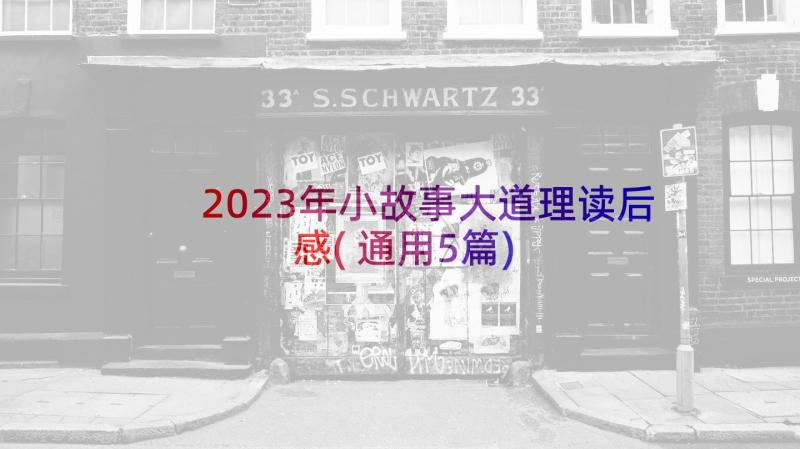 2023年小故事大道理读后感(通用5篇)