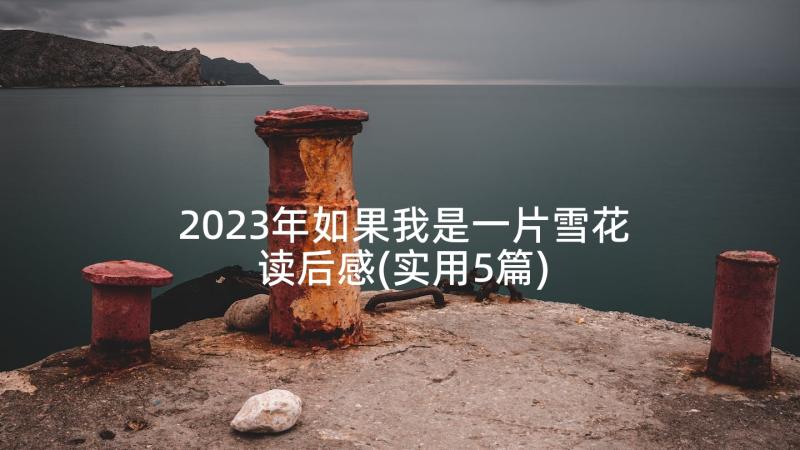 2023年如果我是一片雪花读后感(实用5篇)