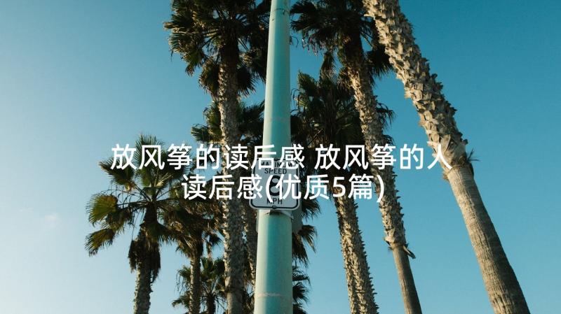 放风筝的读后感 放风筝的人读后感(优质5篇)