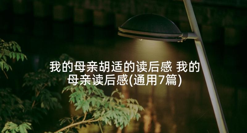 我的母亲胡适的读后感 我的母亲读后感(通用7篇)