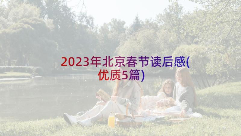 2023年北京春节读后感(优质5篇)