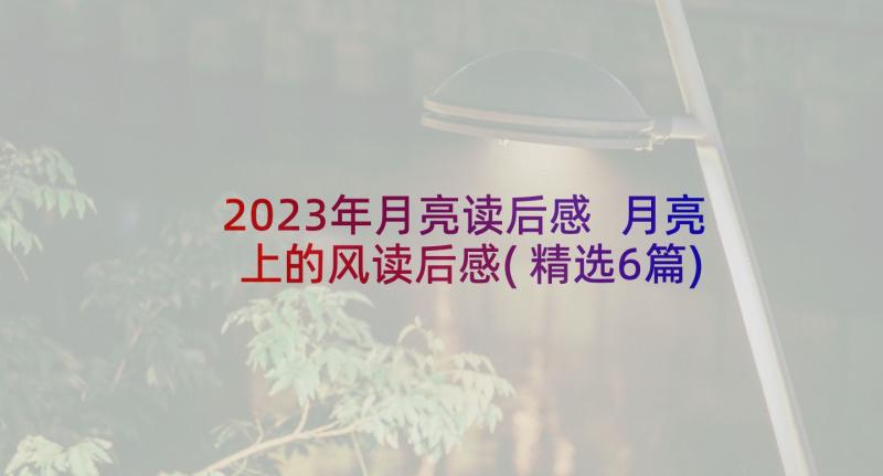 2023年月亮读后感 月亮上的风读后感(精选6篇)