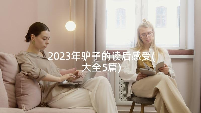 2023年驴子的读后感受(大全5篇)