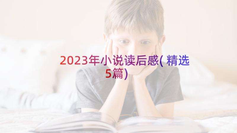 2023年小说读后感(精选5篇)