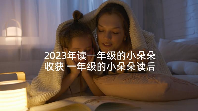 2023年读一年级的小朵朵收获 一年级的小朵朵读后感(模板5篇)