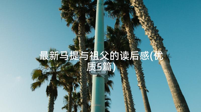 最新马提与祖父的读后感(优质5篇)