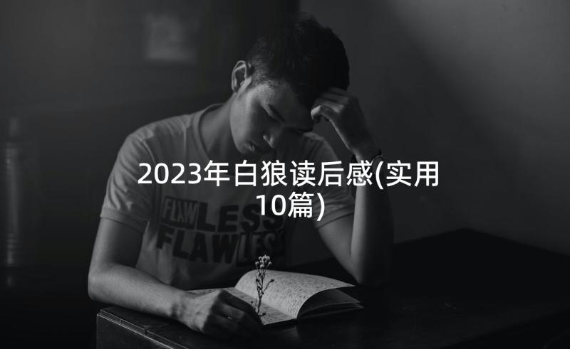 2023年白狼读后感(实用10篇)