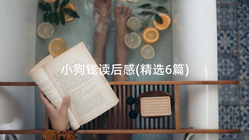 小狗钱读后感(精选6篇)