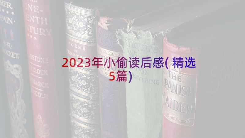 2023年小偷读后感(精选5篇)