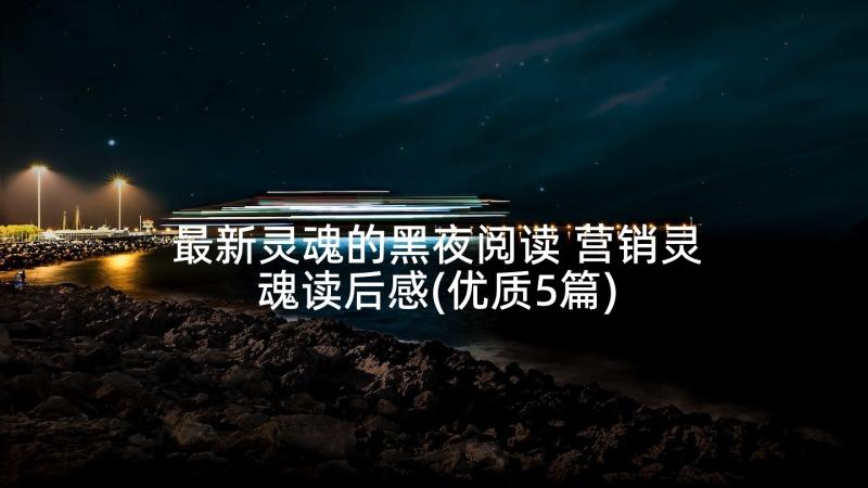 最新灵魂的黑夜阅读 营销灵魂读后感(优质5篇)