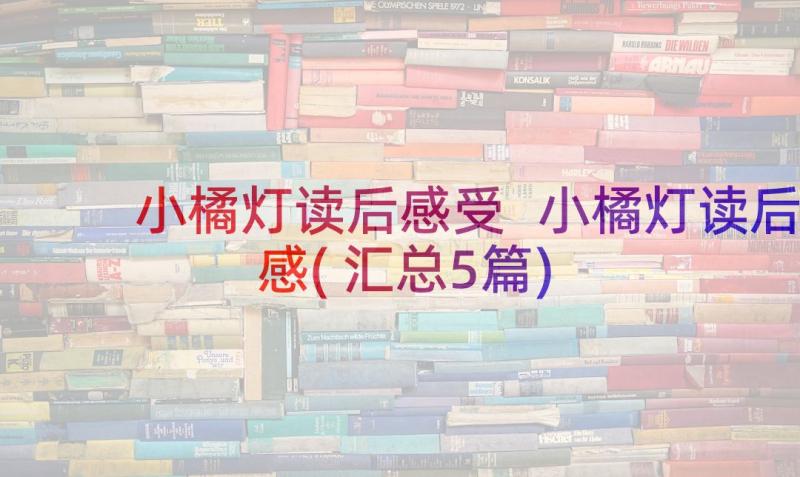 小橘灯读后感受 小橘灯读后感(汇总5篇)