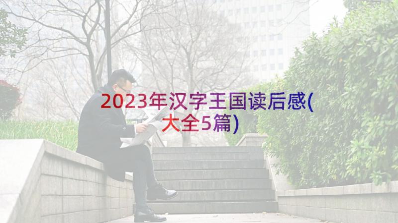 2023年汉字王国读后感(大全5篇)