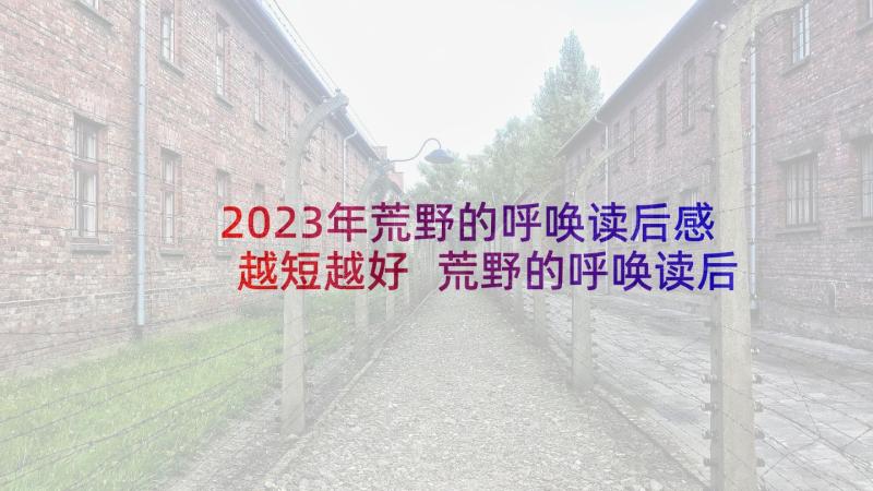 2023年荒野的呼唤读后感越短越好 荒野的呼唤读后感(模板9篇)