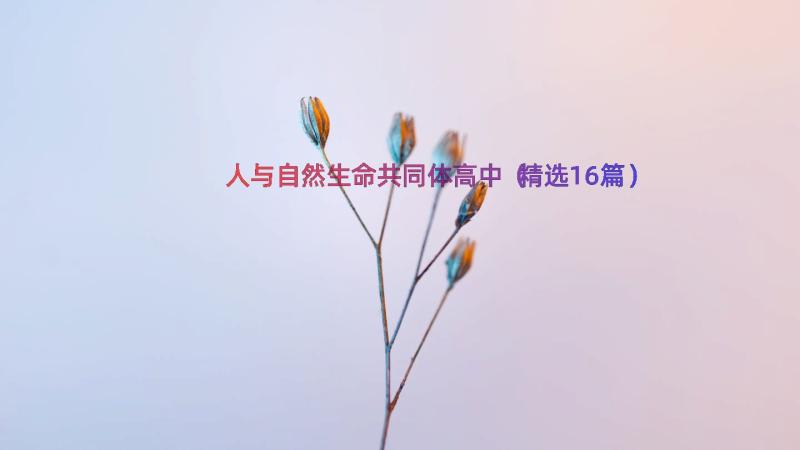 人与自然生命共同体高中（精选16篇）