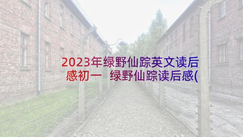 2023年绿野仙踪英文读后感初一 绿野仙踪读后感(实用8篇)