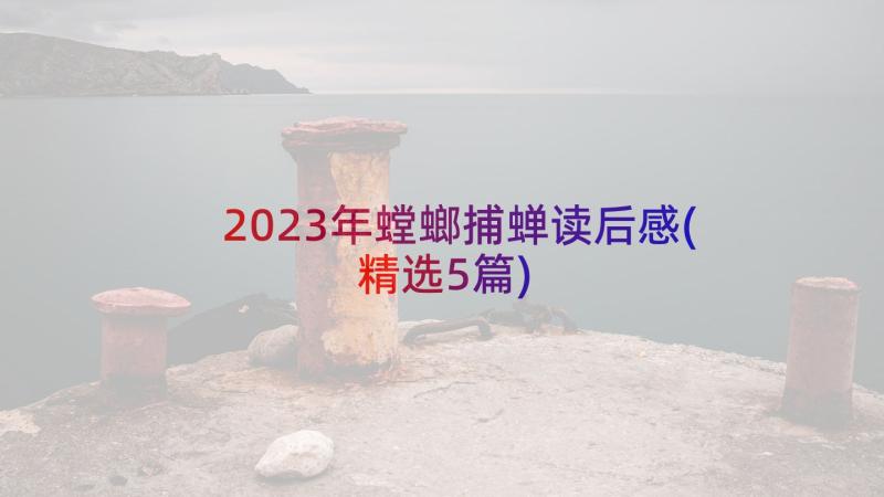 2023年螳螂捕蝉读后感(精选5篇)