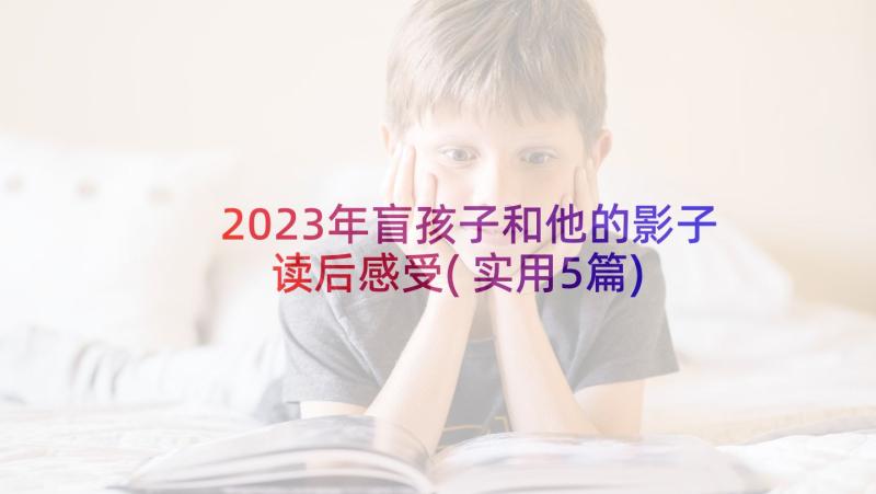 2023年盲孩子和他的影子读后感受(实用5篇)