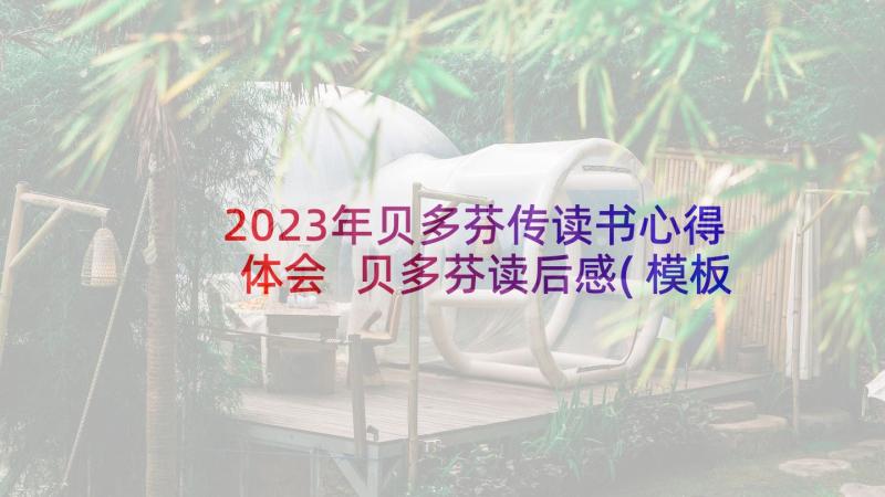 2023年贝多芬传读书心得体会 贝多芬读后感(模板6篇)