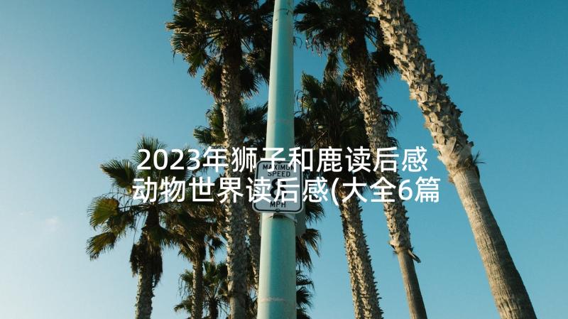 2023年狮子和鹿读后感 动物世界读后感(大全6篇)