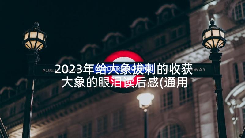 2023年给大象拔刺的收获 大象的眼泪读后感(通用10篇)