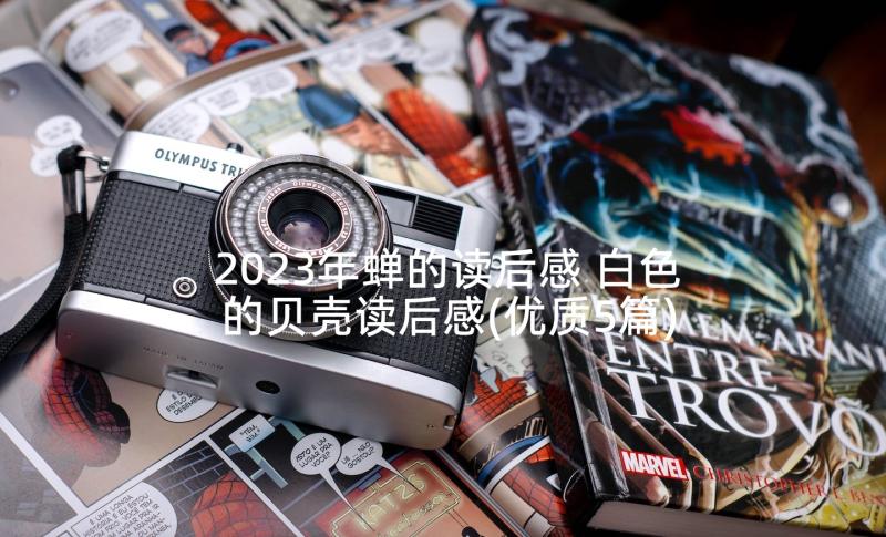 2023年蝉的读后感 白色的贝壳读后感(优质5篇)