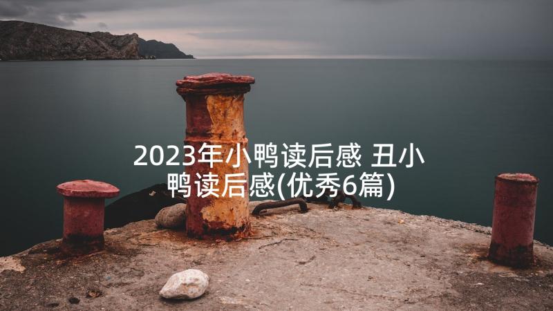 2023年小鸭读后感 丑小鸭读后感(优秀6篇)