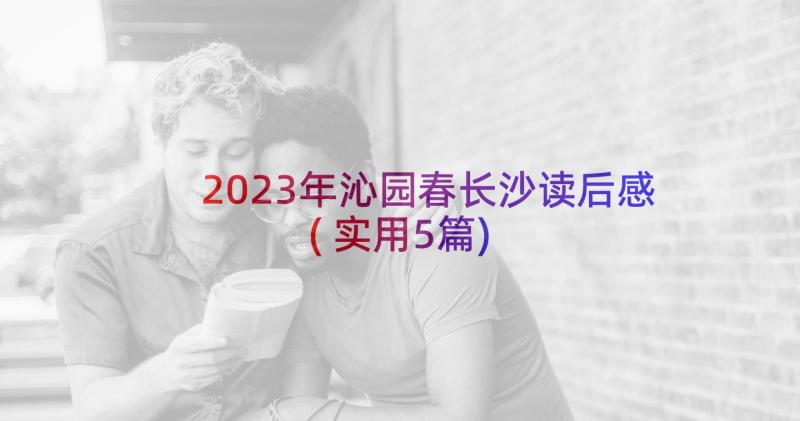 2023年沁园春长沙读后感(实用5篇)