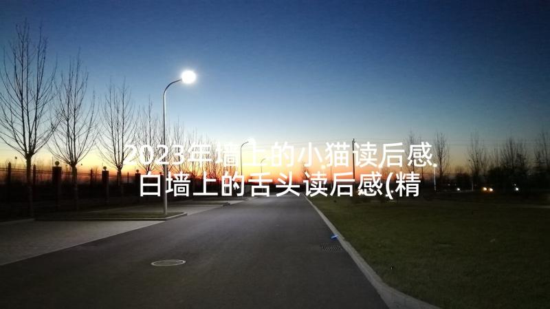 2023年墙上的小猫读后感 白墙上的舌头读后感(精选5篇)