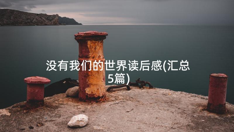 没有我们的世界读后感(汇总5篇)