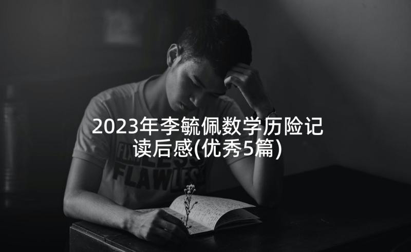 2023年李毓佩数学历险记读后感(优秀5篇)