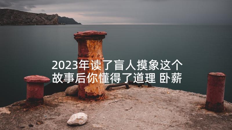 2023年读了盲人摸象这个故事后你懂得了道理 卧薪尝胆读后感和故事启发(模板5篇)