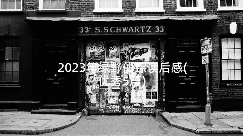 2023年绿野仙踪读后感(优秀5篇)