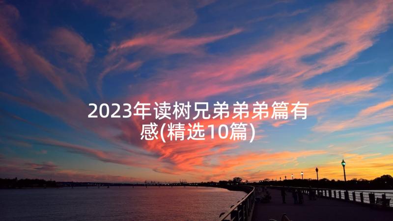 2023年读树兄弟弟弟篇有感(精选10篇)