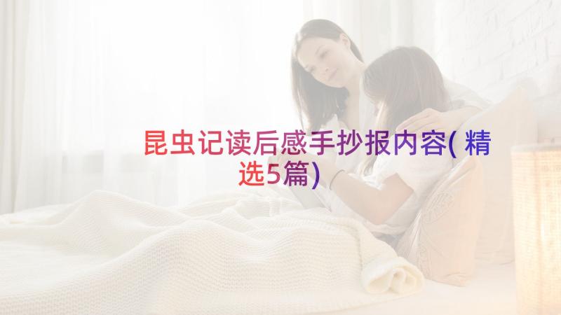 昆虫记读后感手抄报内容(精选5篇)