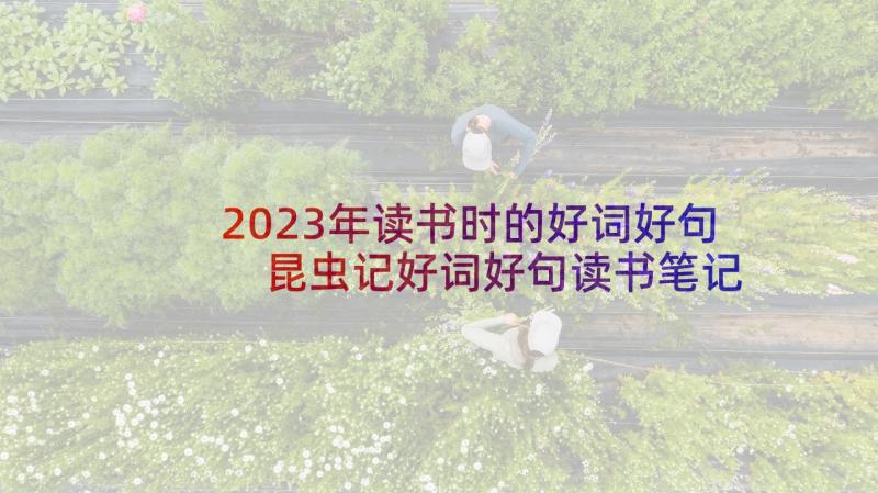 2023年读书时的好词好句 昆虫记好词好句读书笔记摘抄及读后感赏析(大全5篇)