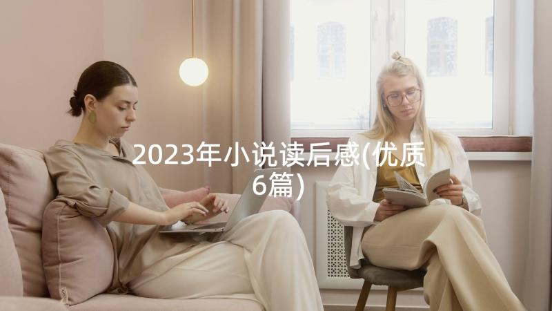 2023年小说读后感(优质6篇)