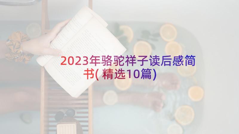 2023年骆驼祥子读后感简书(精选10篇)